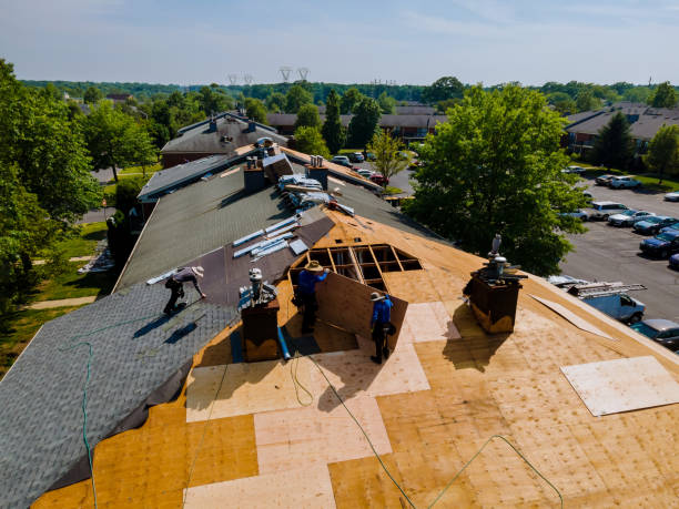Best Storm Damage Roof Repair  in Corbin, KY