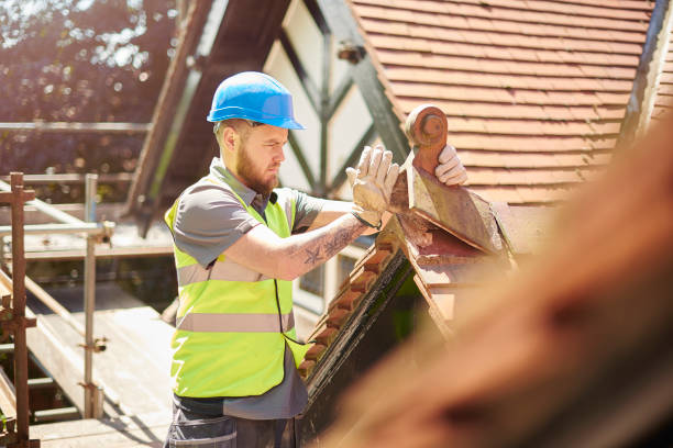 Best Shingle Roofing Installation  in Corbin, KY